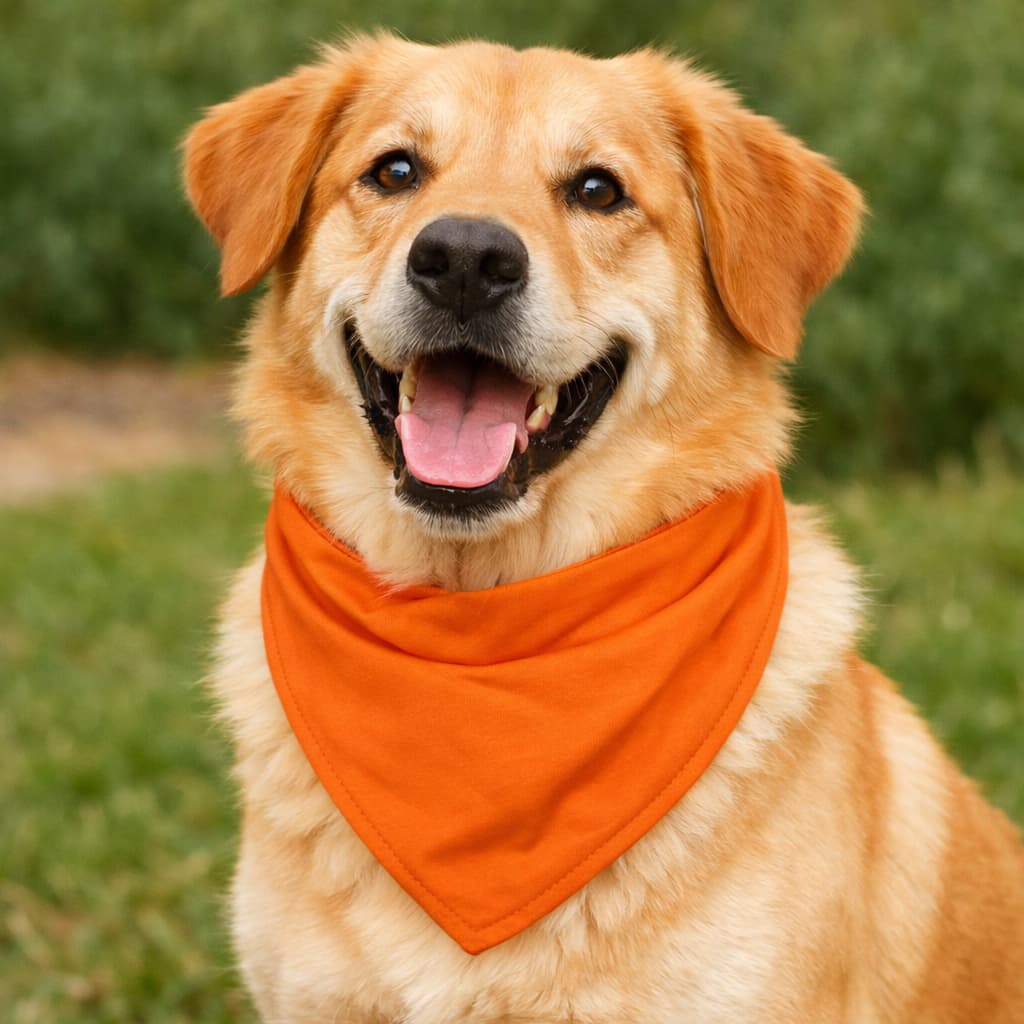 Bandana Laço Pet Porte Medio e Grande Algodão Lavavel 48CM Circunferencia