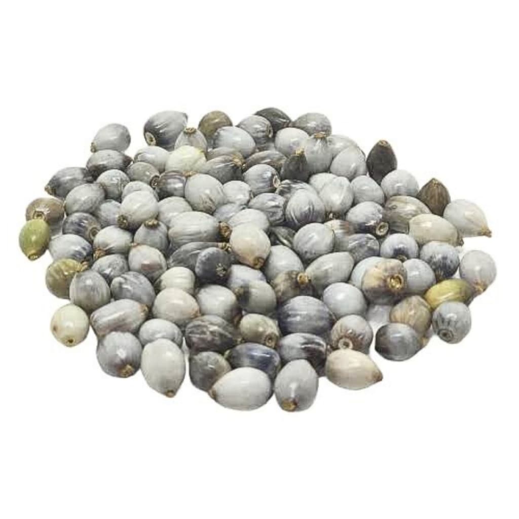 Miçanga de Sementes de Lágrimas De Nossa Senhora Contas P/ Rosário