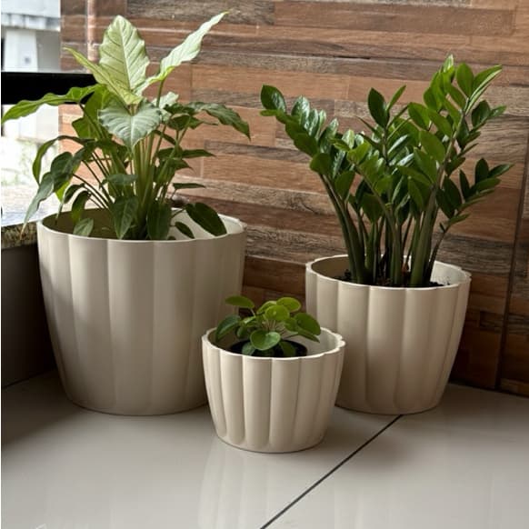 Kit com 3 Vasos para Plantas Decorativo Cachepô Moranga Liso Centro Mesa Suculentas Cactos N2 N3 N4