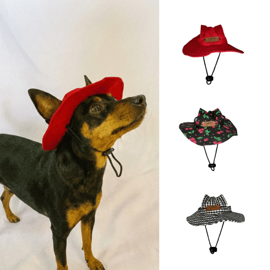 Chapéu Bucket Cachorro Proteção Solar Passeio com Saída Orelha Ajustável PP ao GG