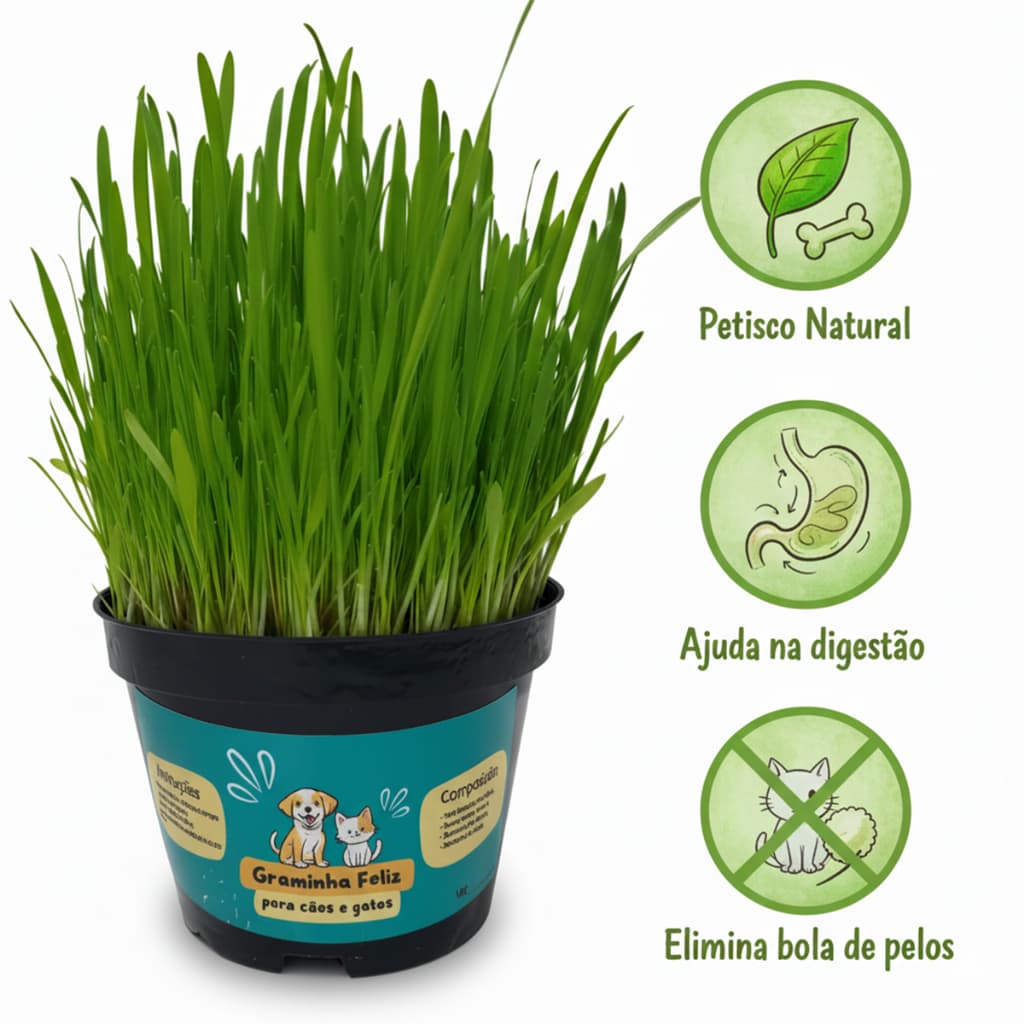 Capim para Gatos e Cães Graminha  - Petisco Elimina Bolas de Pelos e Ajuda na digestão