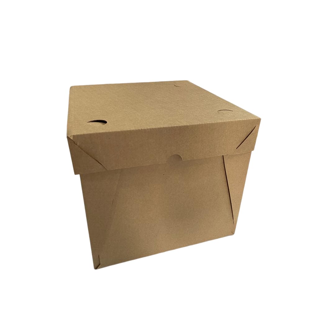 10 UNI - CAIXA TRANSPORTE BOLO 25X25X22 CM