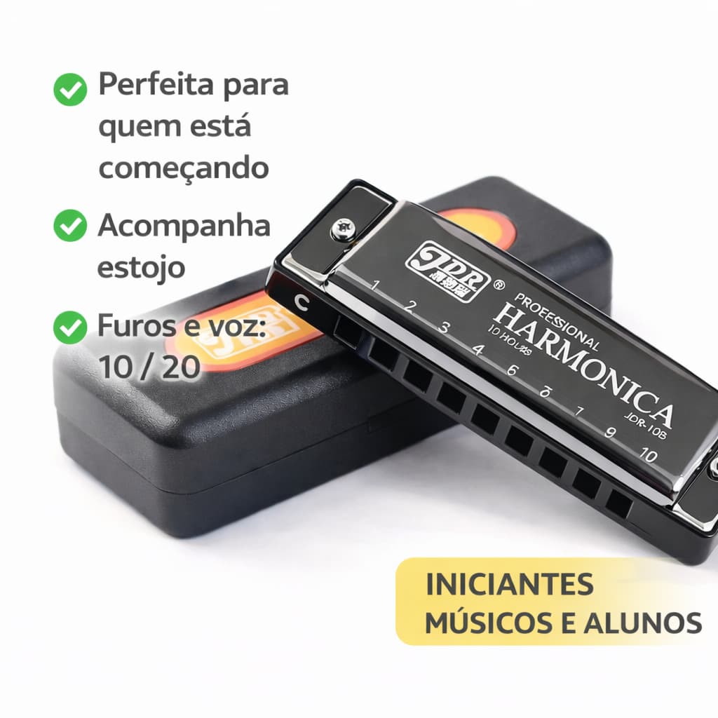 Gaita Harmônica Blues Em Dó C 10 Furos 20 Vozes Diatônica Com Estojo Para Iniciantes