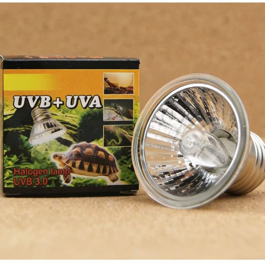 50/75W UVA + Lâmpada De Aquecimento De Répteis UVB Tartaruga Para Aquário E27 Base De 110V