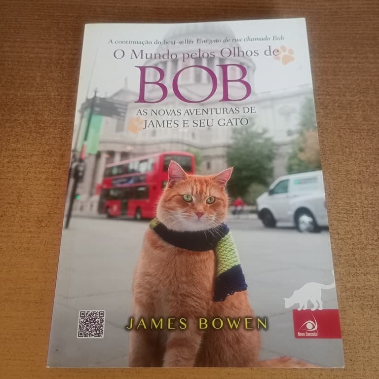 Livro O Mundo Pelos Olhos de Bob - James Bowen