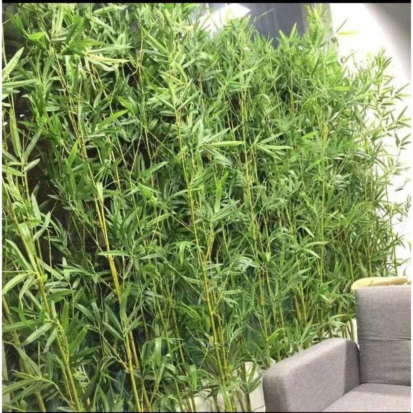 Kit 2 Planta 100cm Artificial Galho Haste De Bambu Da Sorte Toque Real