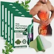 Adesivos Para Dores Nas Costas Para Alivio De Dor No Espinha Lombar 100% Natural