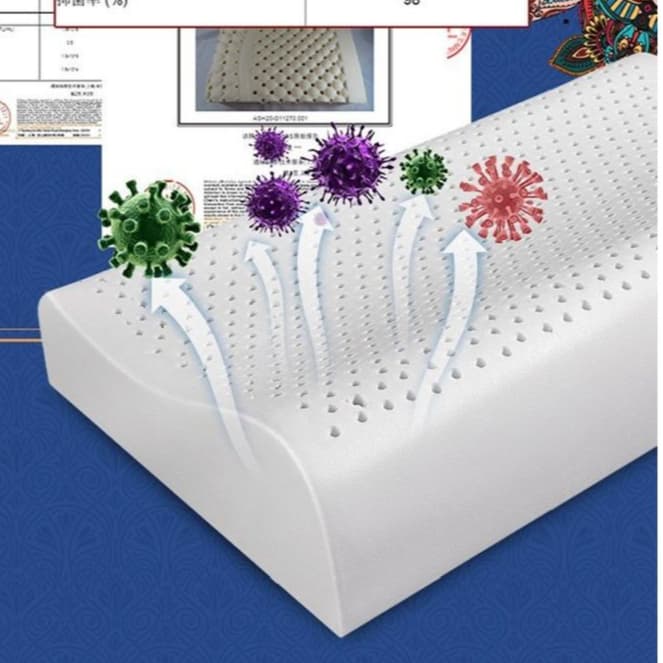 Travesseiro 100% Látex Natural Tailandia Importado