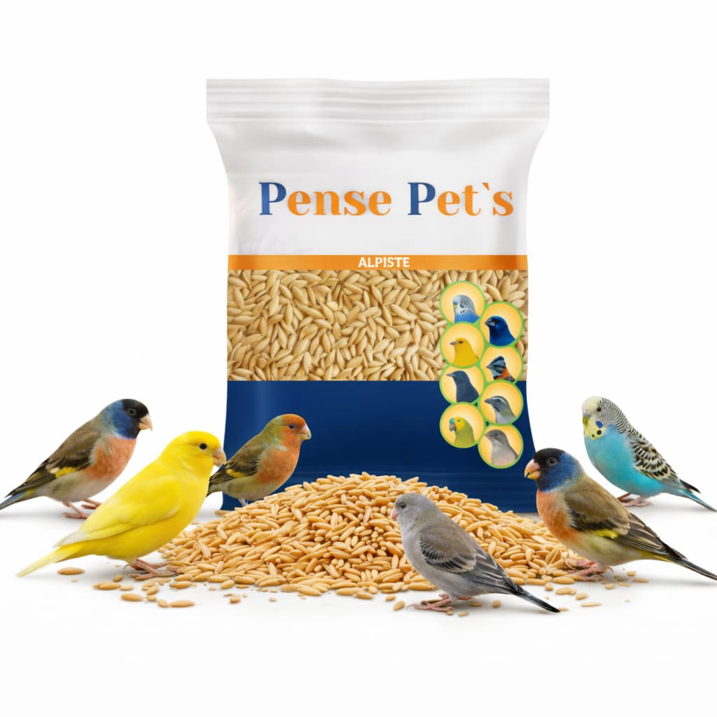 Alpiste Canadense Peneirado e soprado para Pássaros - 1kg