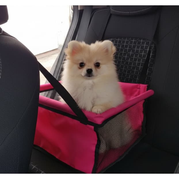Cadeirinha Bolsa Sacola Assento de Carro Transporte Basic ATÉ 10kg Pet Cães e Gatos Segurança Viagem