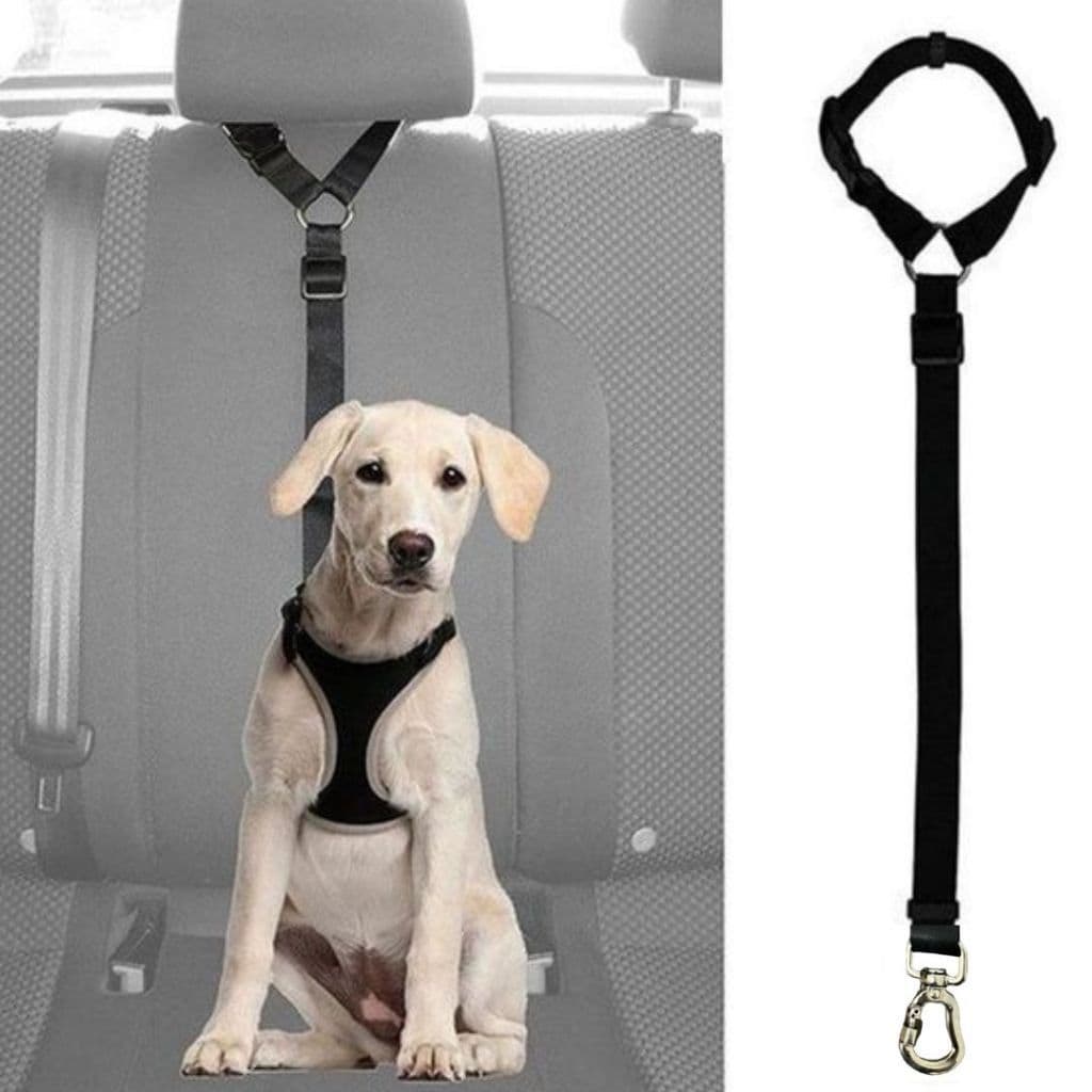 Cinto De Segurança Veicular Preto Ideal para Cães de Médio e Grande Porte - Madiba Pet