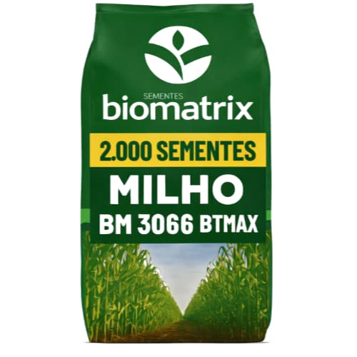 Semente de milho 3066 RESISTENTE - Milho verde e silagem - 2.000 sementes / 450g