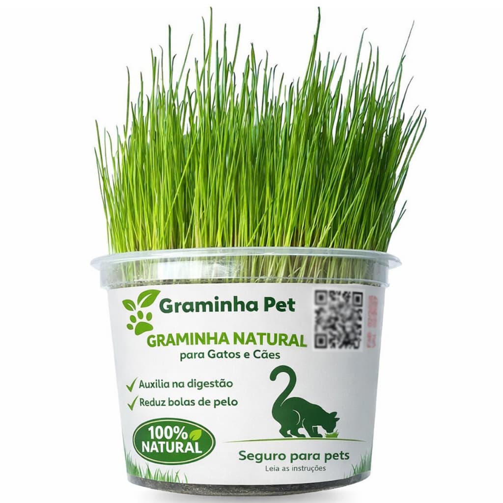 01 Graminha para Gatos e Cães Ajuda Pet na digestão e Elimina Bolas de Pelos