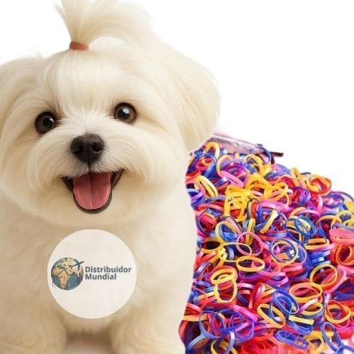 Kit 1200 Elástico Pet Colorido Banho e Tosa Laço Acessórios Cachorro Liguinha