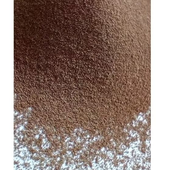 cisto de artemia salinas 100g