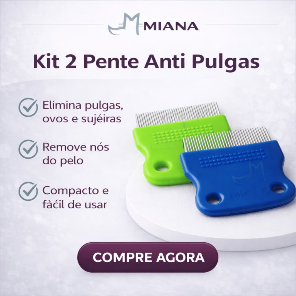Kit 2 Pente Anti Pulgas Para Cães E Gatos Remoção De Parasitas Cuidados Pet Seguro E Resistente