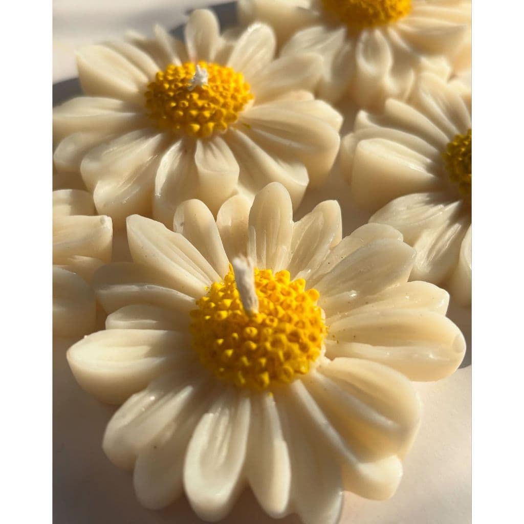 Kit 10/15/20/30 Velas Margaridas Aromáticas | Lembrancinha Aniversário, Casamento, Chá de bebê