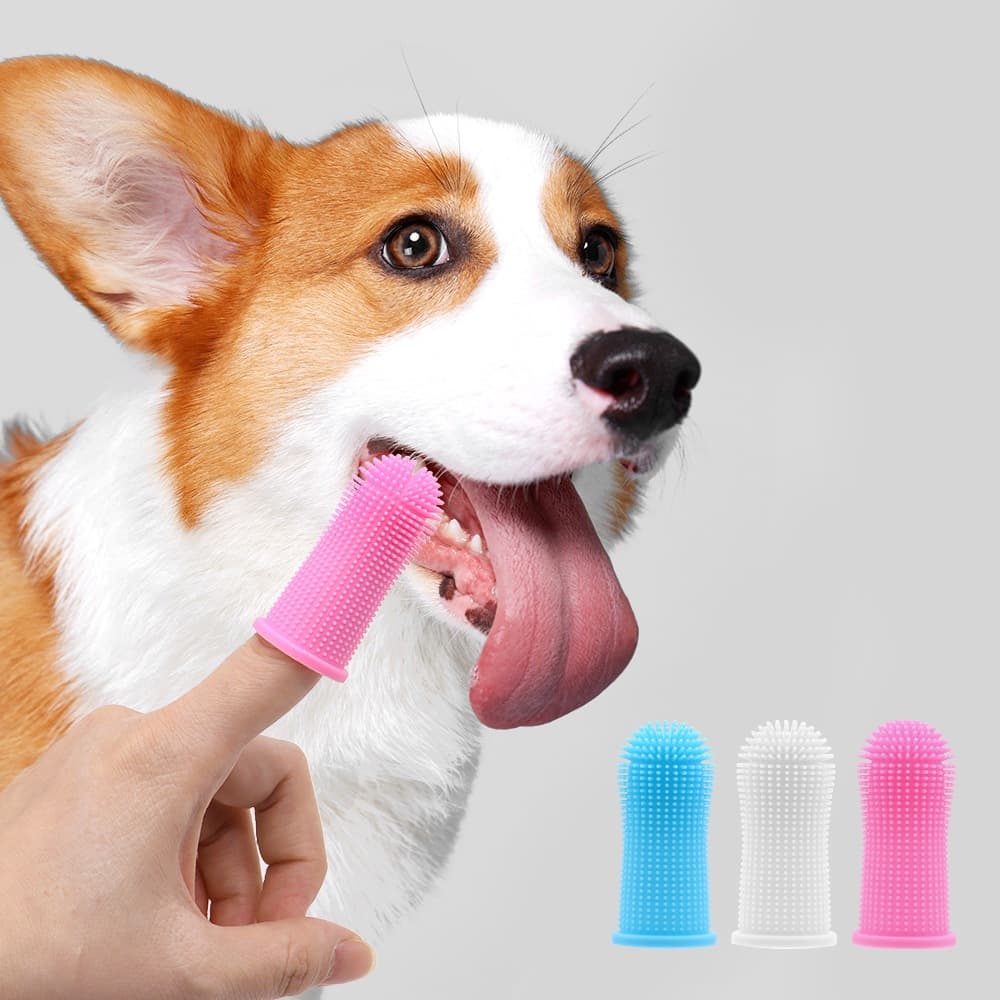 【360° Limpeza】Escova de Dente Pet Silicone BPA Free – Maleável, com Estojo, Ultra Macia!