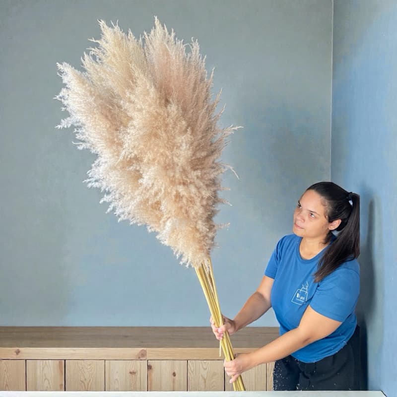 Capim dos Pampas 1,4m Plumas Premium grandes eventos casamentos  recepçã