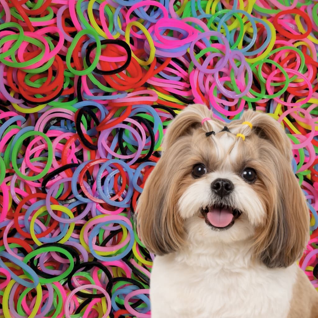 Elástico para Penteado Pet Elástico colorido. Laço para cachorro liguinha para Banho e tosa pet shop