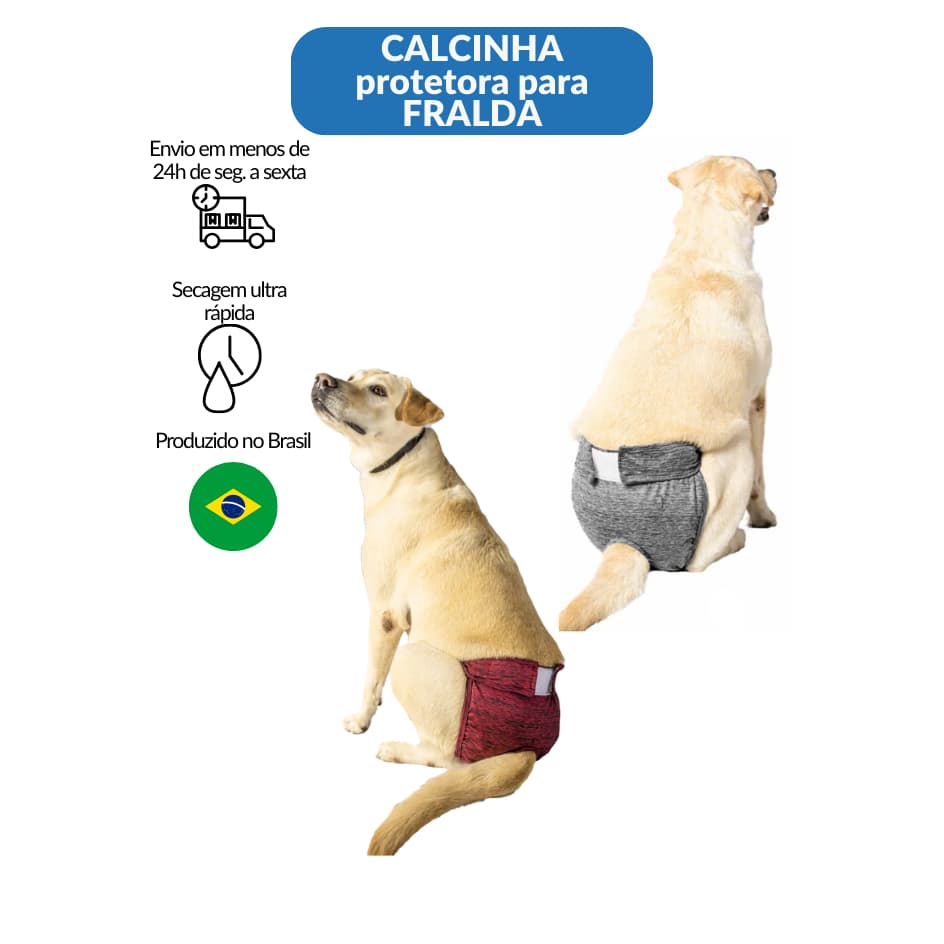 Calcinha Higiênica Protetora para Fralda Cio Cachorro