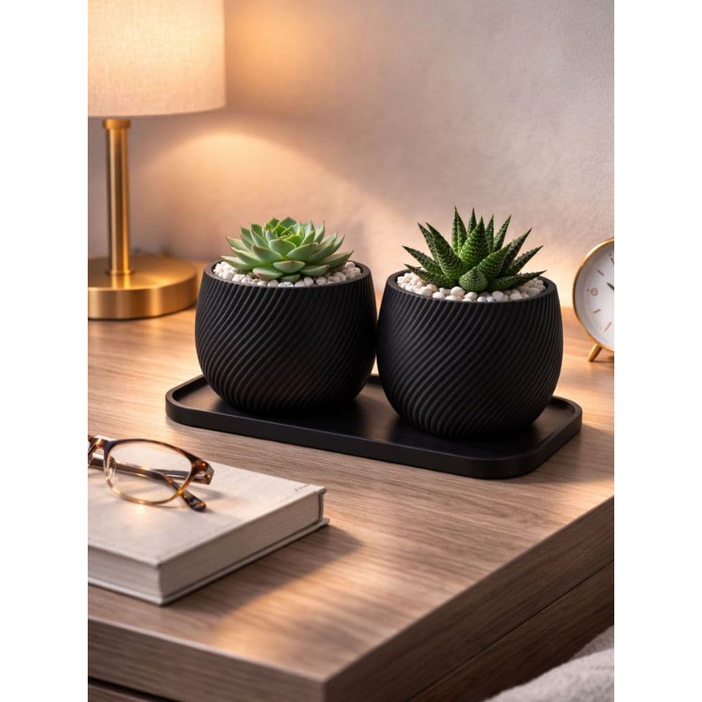 Conjunto Vasos e Bandeja Decorativos para Pequenas Plantas e Suculentas com 2 Home Decore