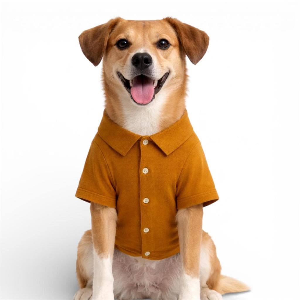 Camisa Pet Verão Listrada Polo com Botão Roupa para Cachorro e Gato