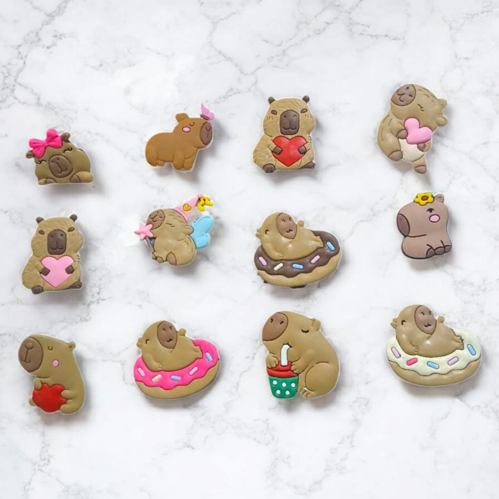 Kit 12 Pins Bottons Capivara Acessórios Personalizados para Babuche Feminina