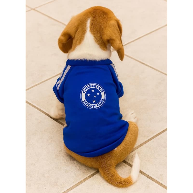 Blusa pra Cachorro Blusa Pet Torcedor Cruzeiro Blusa link promoção Roupa Pet Torcedor  Pet torcedor