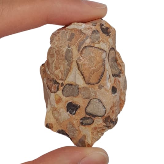 Jaspe Leopardo Leopardita Pedra Natural Bruta unid.