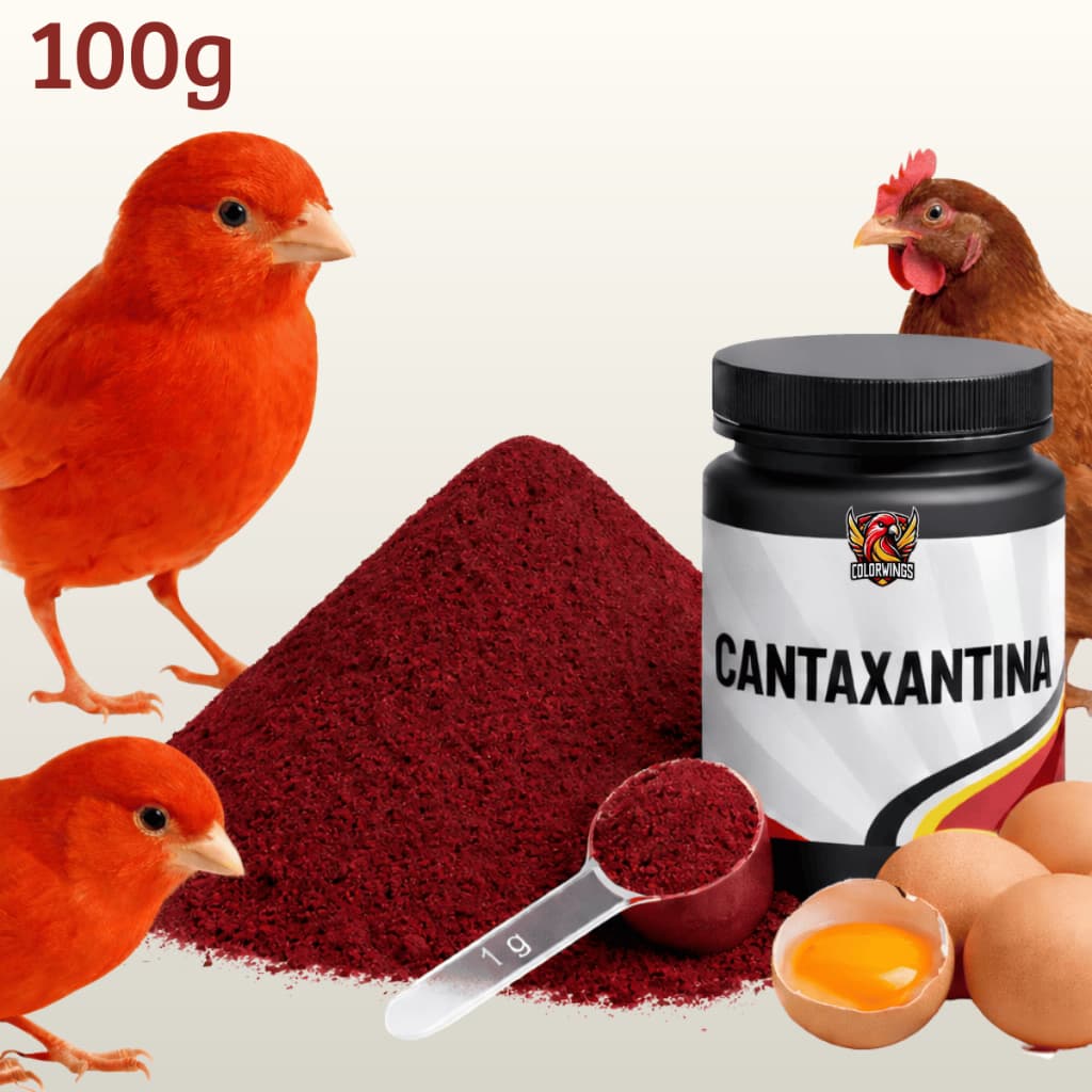 Cantaxantina Vermelha para Canários 100g