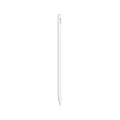 APPLE PENCIL PRO COM 1 ANO DE GARANTIA