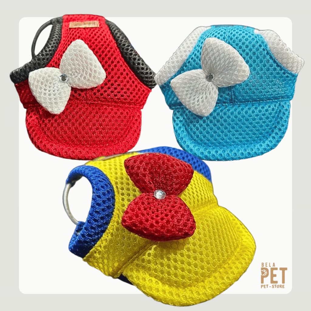 Boné Para Cachorro e Gato - Personagens - Branca de Neve - Sereia Ariel - Minnie Mouse - COM TOP