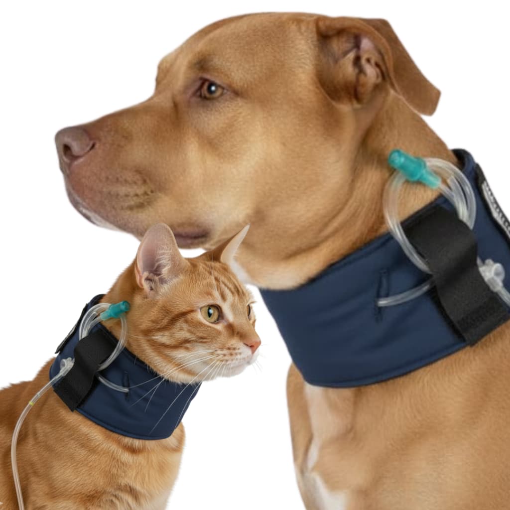 Colar Contenção De Sonda Esofágica Pet Cão e Gato