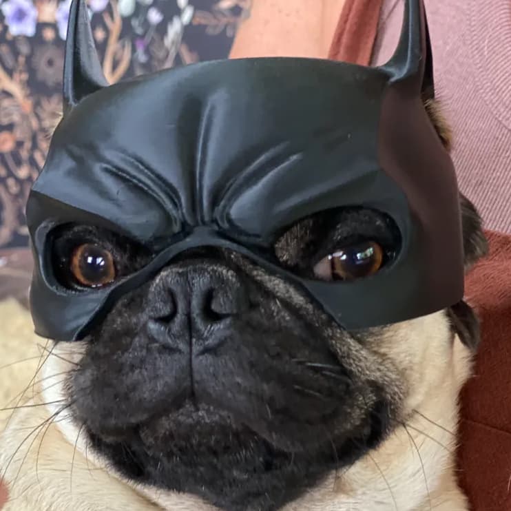 BATDOG A Máscara do Batman Para Cachorros Pet Fantasia Cães Pequenos Pug/Bulldog Acessório Pet  Geek