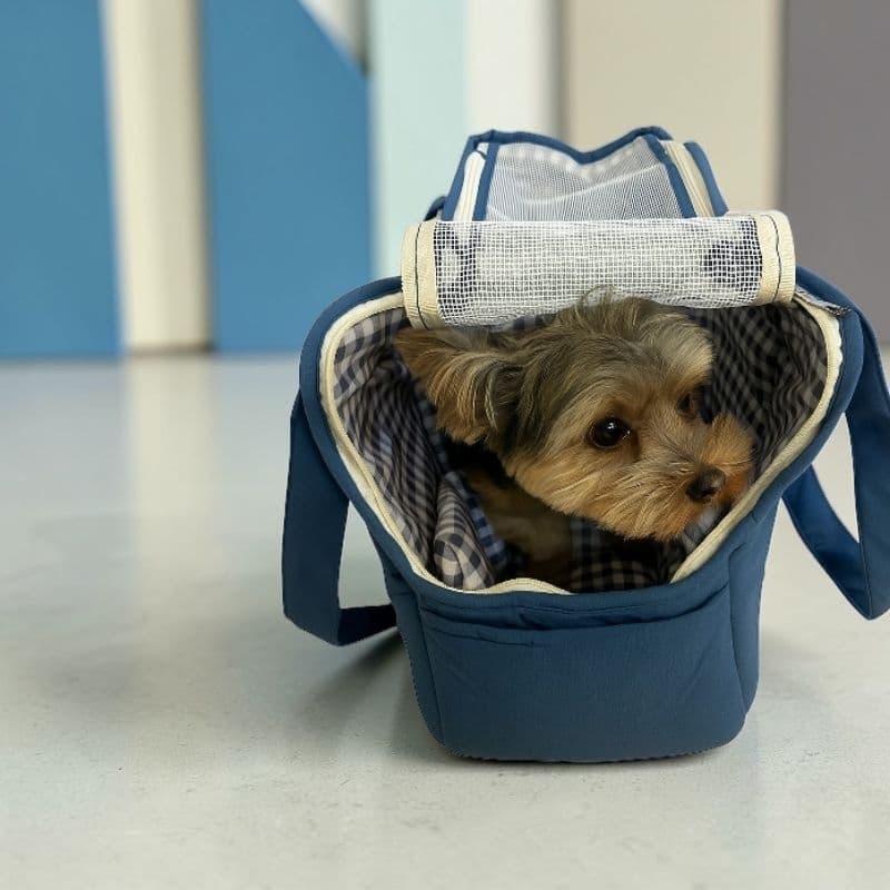 Bolsa Pet Luxo KebiPet com base firme/ Cama Pet