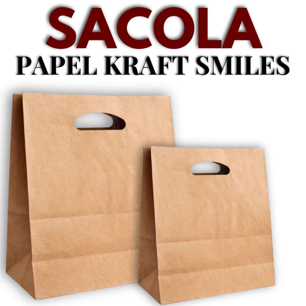 Sacola de Papel Kraft Natural G 24x14,5x27cm Delivery Burguer Lanches 50 ou 100 unidades