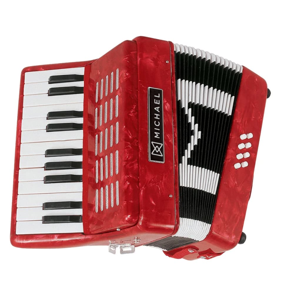 Acordeon Michael Acm0822 8 Baixos 22 Teclas Com Bag