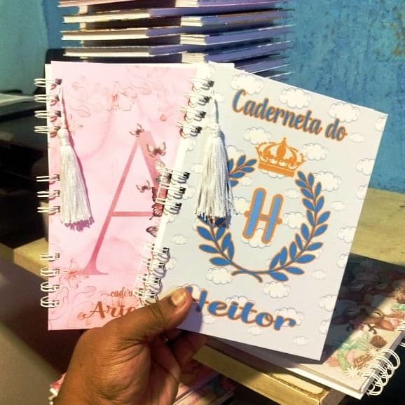 CADERNETA DE VACINA DA CRIANÇA + CARTÃO DO SUS, CAPA DURA,  ADICIONAMOS NOME