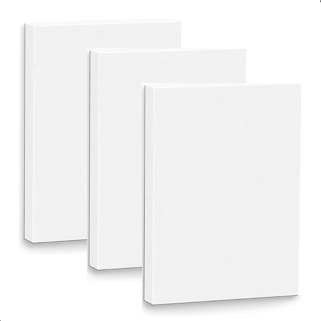 Kit 3 Telas 20x30 para Pintura em Óleo Acrílica e Desenho Profissional Artística Quadro Souza