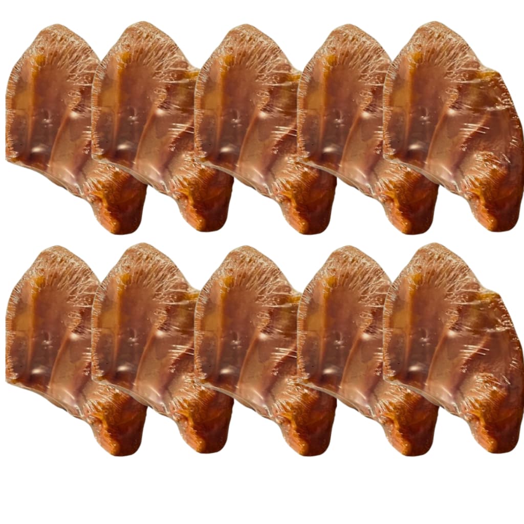 Kit  com 10 Mordedores Orelha Suína Petisco  DIP DOG