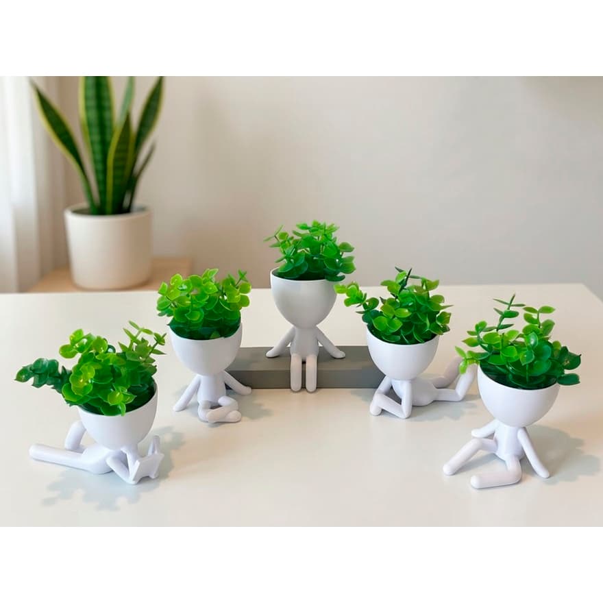 Kit 5 Mini Vasinhos com Planta Inclusa, Lembrancinha, Decoração para Casa, Sala, Estante, Enfeite, Suculenta, 6cm altura
