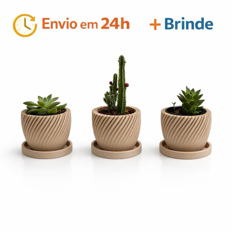Kit 3 Vasinhos premium para Suculentas com prato,Lembrancinha ,Decoração para Casa, Sala, Estante, Enfeite, cachepot