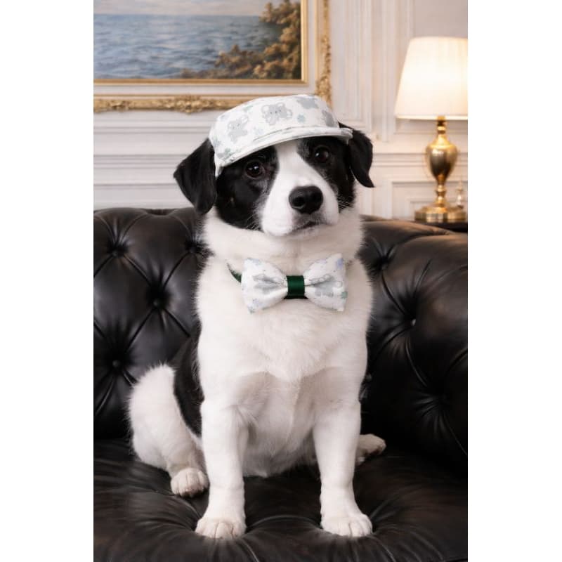 Boné Pet PP ao GG com Elástico e Regulador + Gravata Borboleta Unissex|Estampa elefantes | Kit Acessório Cachorro