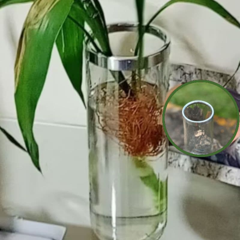 Vaso 21cm Vidro Artesanal Decoração Transparente com Borda de Alumínio Sala e Centro de Mesa