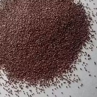 Cisto de Artêmias Salinas 100g