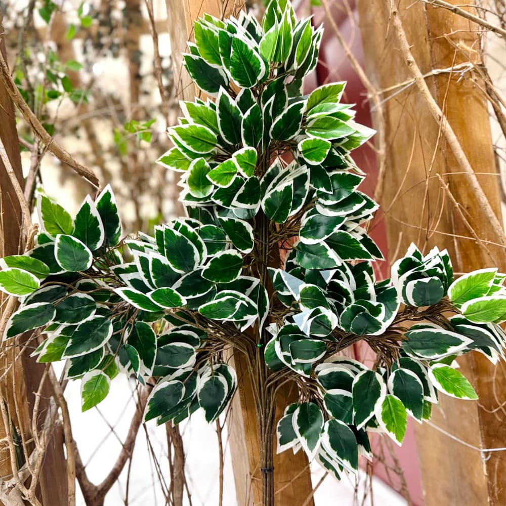 Kit Com 12 Galhos De Folhagem Decorativa Ficus Artificial