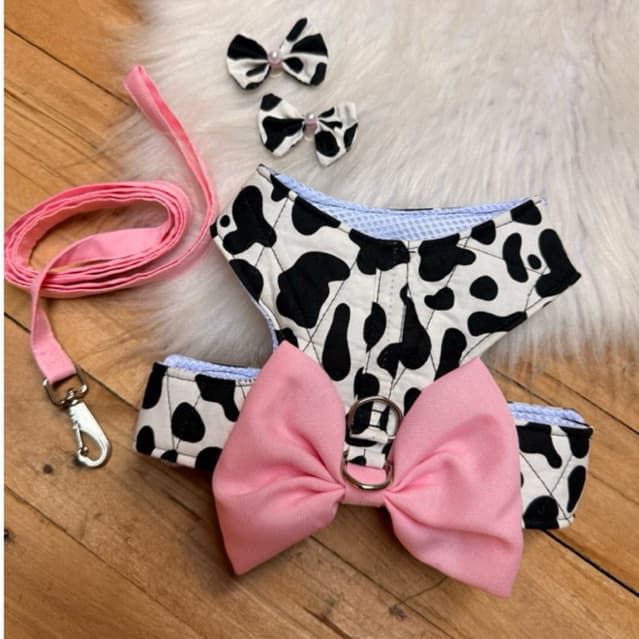 Peitoral Pet com guia + Par de laço