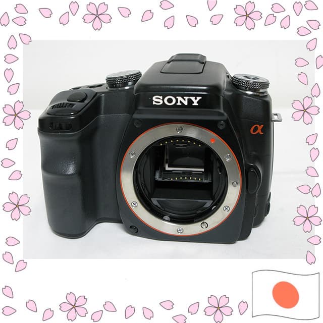 Sony Alpha A100 Câmera DSLR Corpo Apenas Preto DSLRA100/B SLR Digital Usado【Enviado diretamente do Japão】