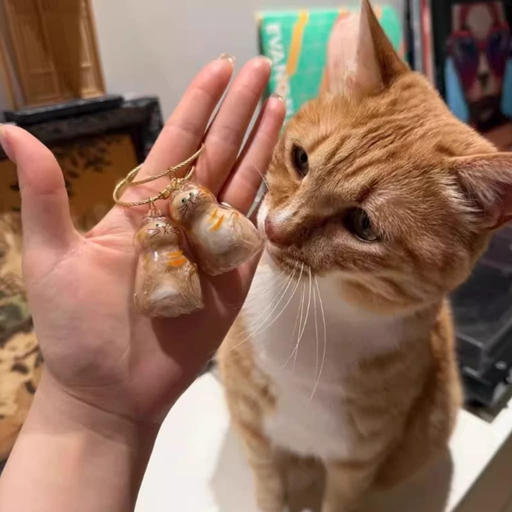 Pingente Relicário Chaveiro Gatos Transparente Para Pelos Pet - Recordação Afetiva Fecho Rosca